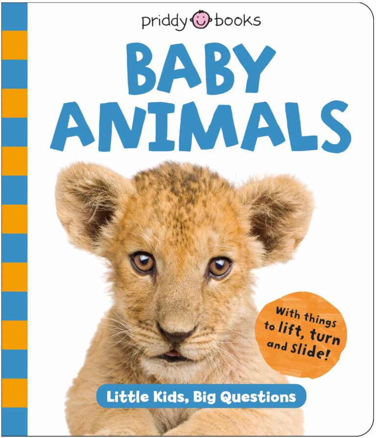 Baby Animals (Little Kids, Big Questions) by Priddy, an interactive children's board book featuring questions and answers about baby animals, their parents and how different animal families care for their young.