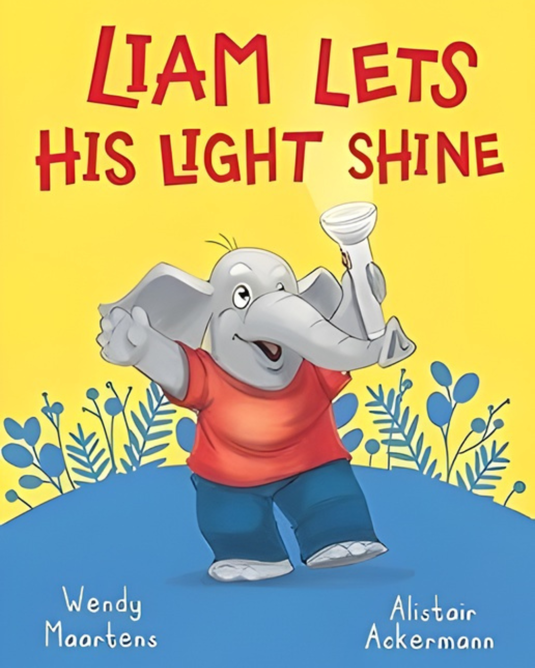 Cover of Liam Lets His Light Shine by Wendy Maartens, a children’s picture book about courage and emotional confidence.