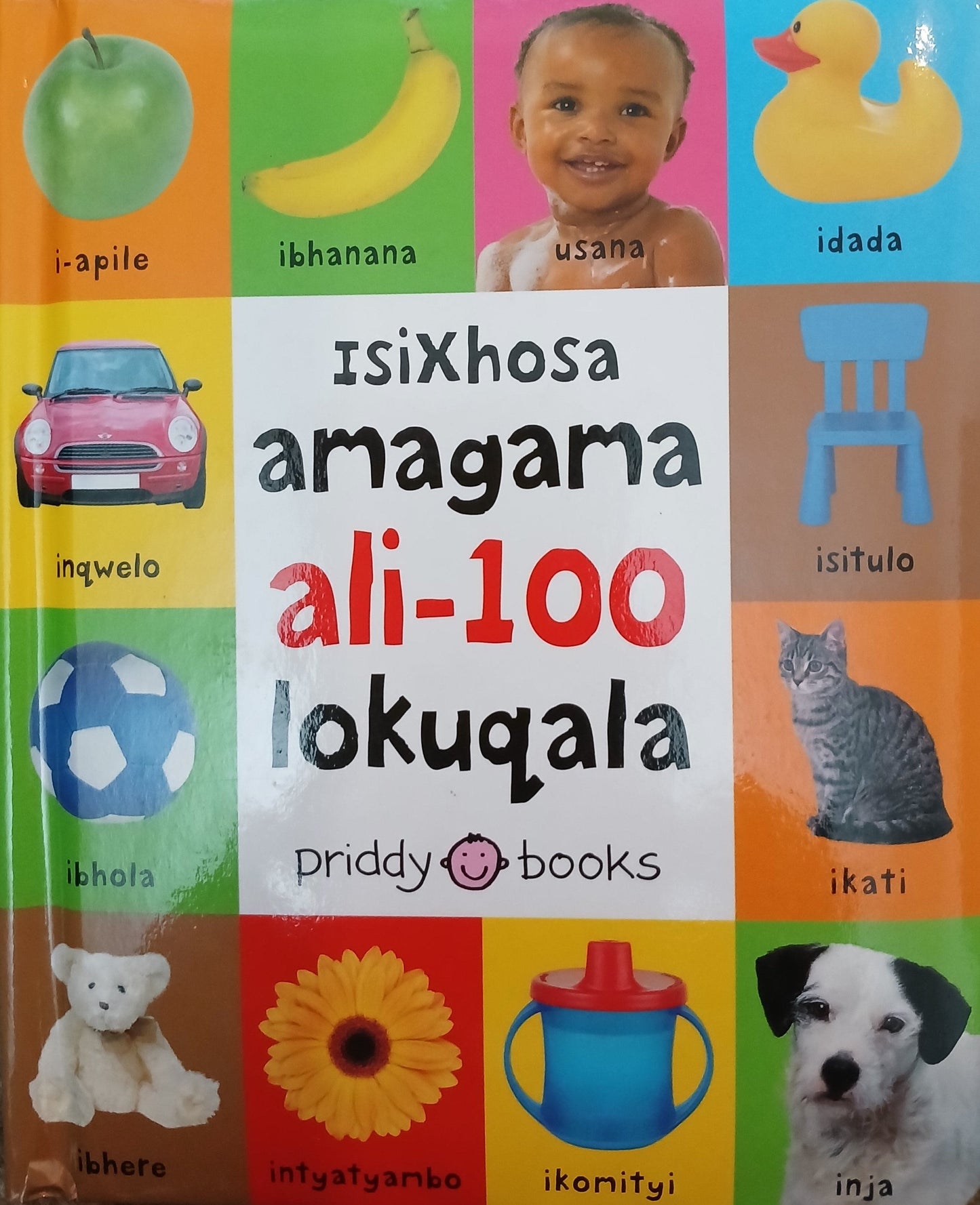 edelan kay, picture book, diverse children's books
